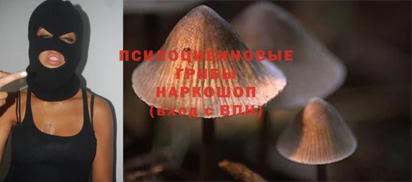 гидра Новый Уренгой