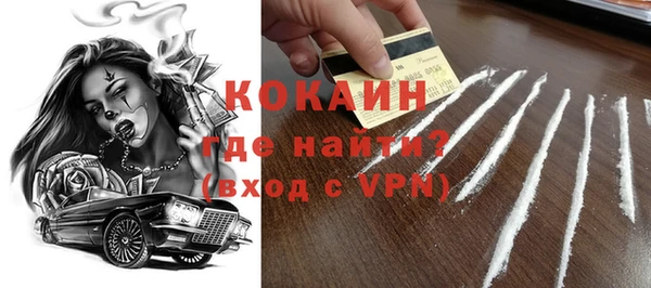 mdpv Бородино