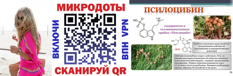 Псилоцибиновые грибы Cubensis  ОМГ ОМГ tor  Весьегонск  купить наркотик 