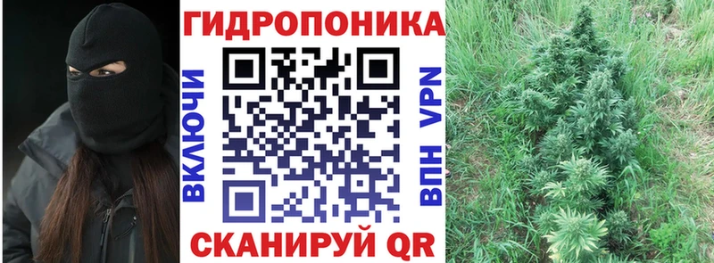 Каннабис марихуана где купить Весьегонск